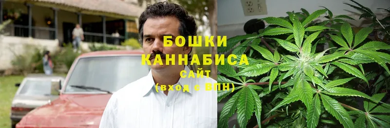 Каннабис планчик  Зубцов 